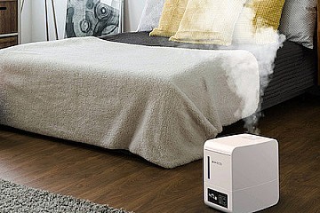 паровые и традиционные