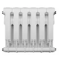 Royal Thermo BiLiner 350 Bianco Traffico радиатор 6 секций 3