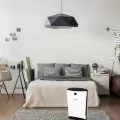 Boneco P340 очиститель воздуха 6