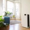 Boneco P710 очиститель воздуха 8