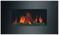Очаг Royal Flame Designe 885CG 2
