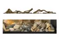Dimplex Ignite XLF74 21