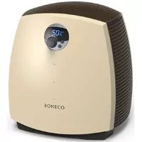 Boneco