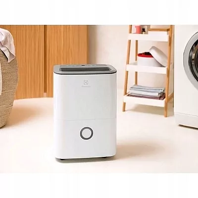 Осушитель воздуха Electrolux: купить с доставкой в Красноярске