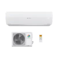 Neon Inverter