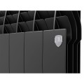 Royal Thermo BiLiner 350 Noir Sable VR радиатор 10 секций 7