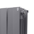 Royal Thermo PianoForte 300 Silver Satin 12 секций радиатор 5