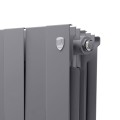 Royal Thermo PianoForte 200 Silver Satin 20 секций радиатор 5